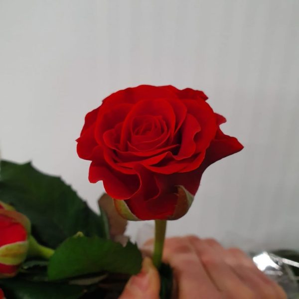 1805202209_2bfa7b0855ad47c462f472f949723f78
