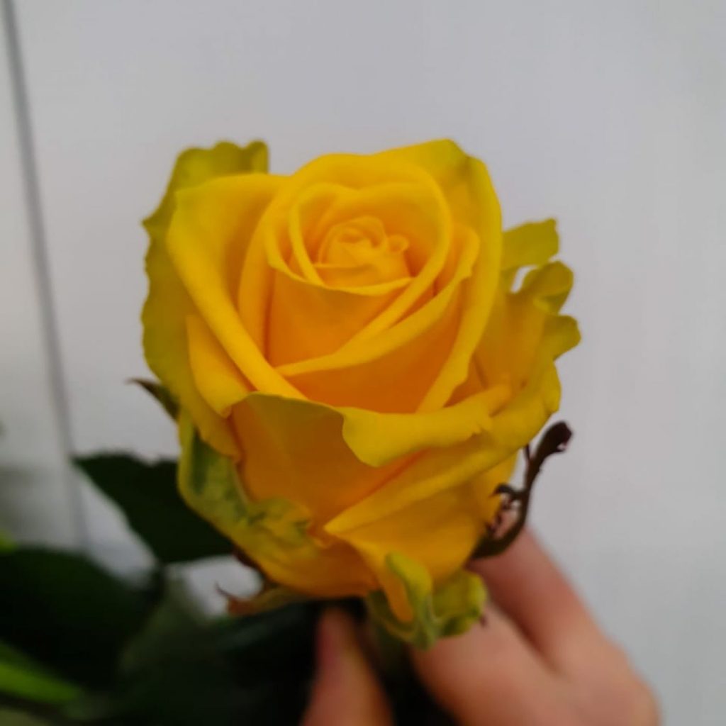 1805202209_900a76c441d801edc76dfa5fe0c68511