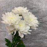 1805202210_32e88262-1348-4c6b-9f74-e1adc6ae8b05
