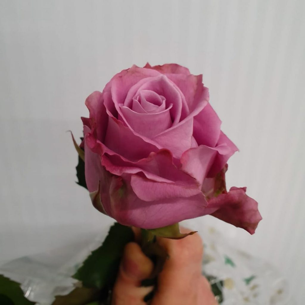 1805202210_f09ff3917675f518f52582732f3c412a