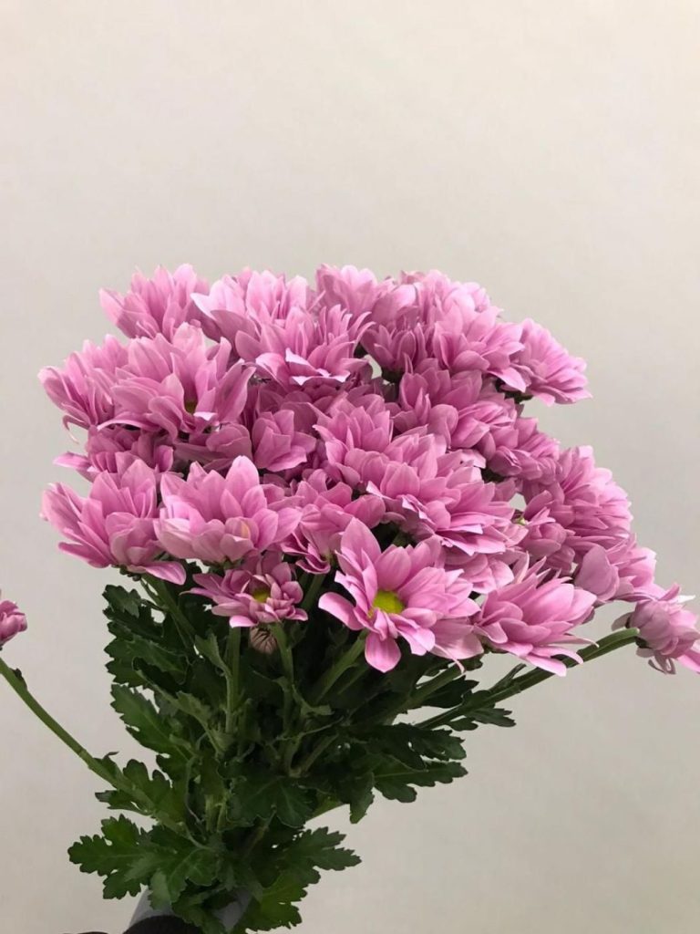 1805202212_4196764d-9bd9-4569-8db6-ae0539ff602a