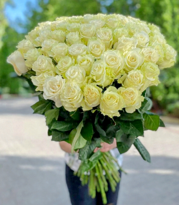 51 роза Эквадор