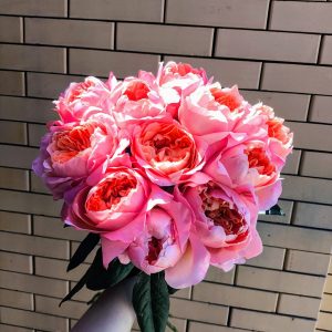 Пионовидная Роза