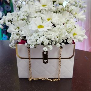 Ромашкав сумочки